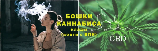 индика Горно-Алтайск