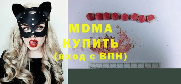 индика Горно-Алтайск