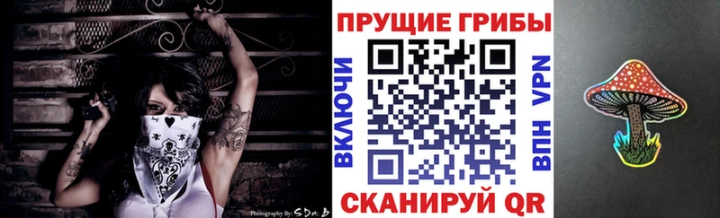 Псилоцибиновые грибы Cubensis  что такое наркотик  Дубна 